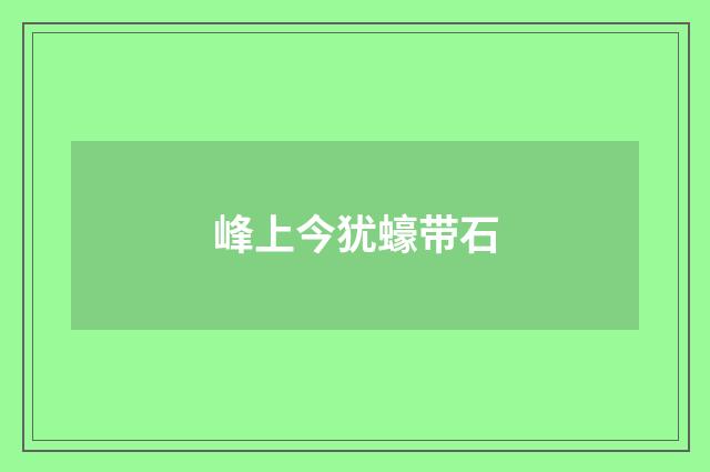 峰上今犹蠔带石