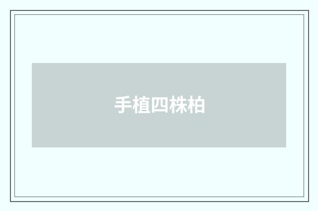 手植四株柏
