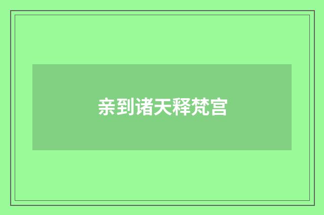 亲到诸天释梵宫