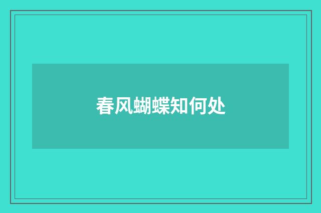 春风蝴蝶知何处