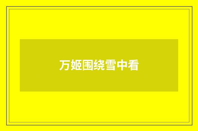 万姬围绕雪中看