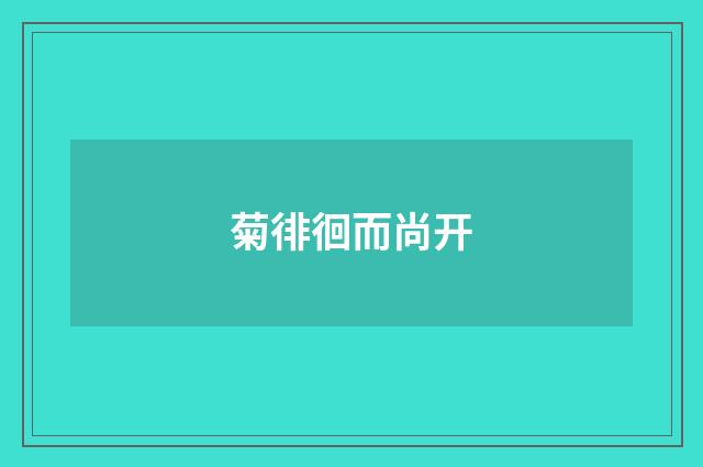 菊徘徊而尚开