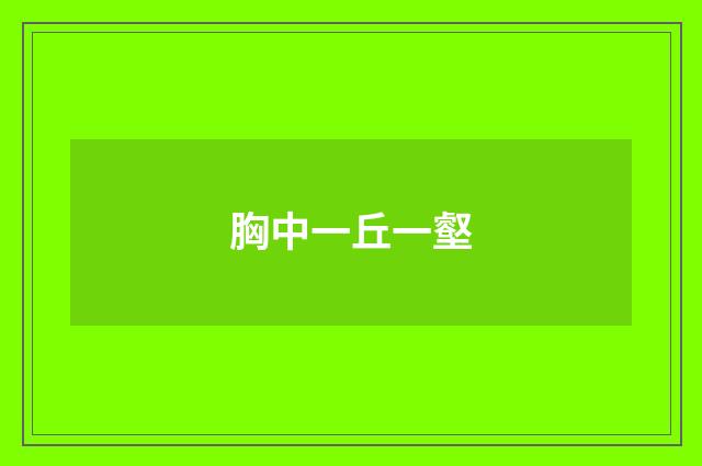 胸中一丘一壑