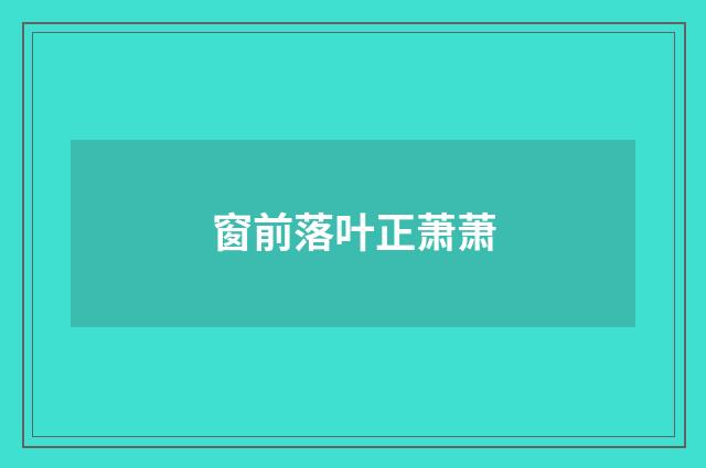 窗前落叶正萧萧