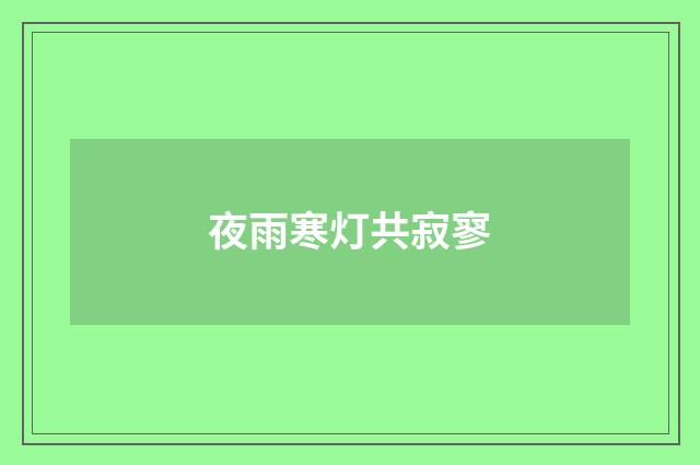 夜雨寒灯共寂寥