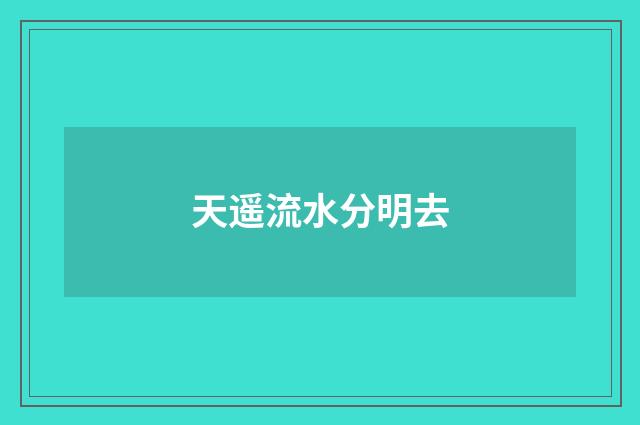 天遥流水分明去