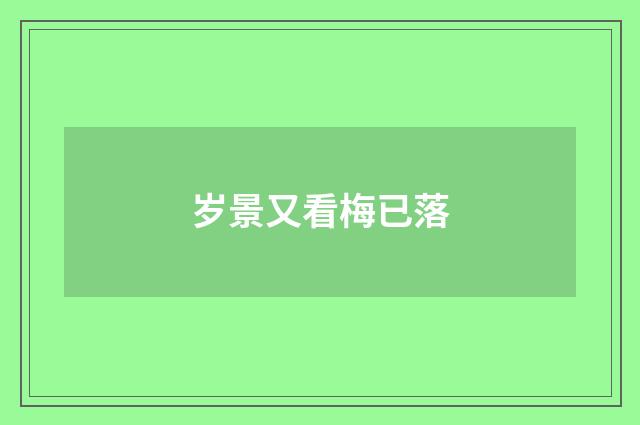 岁景又看梅已落