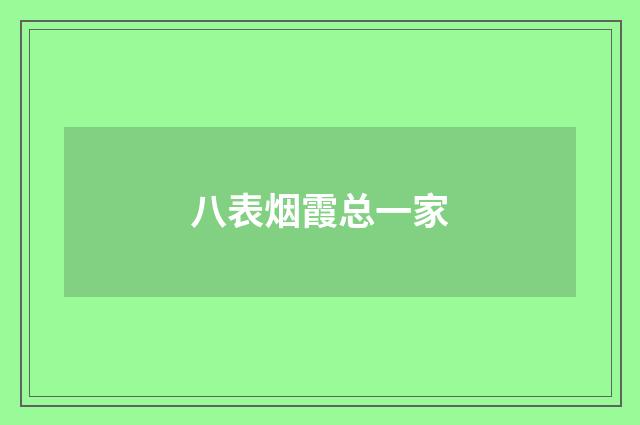 八表烟霞总一家
