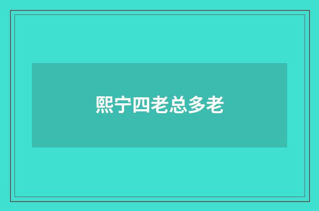熙宁四老总多老