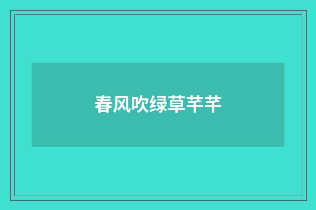 春风吹绿草芊芊