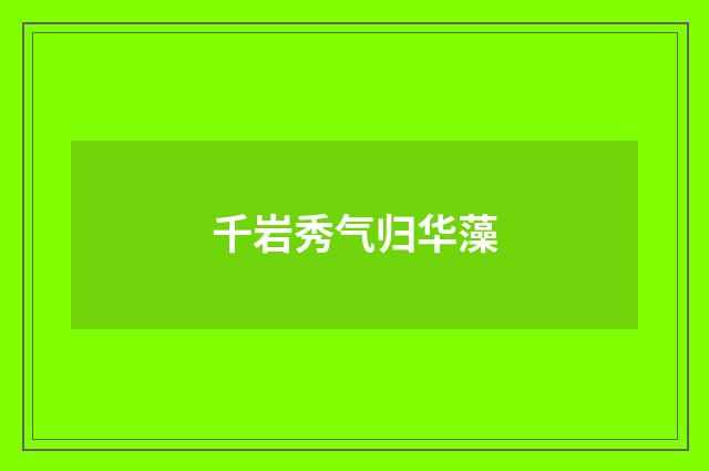 千岩秀气归华藻