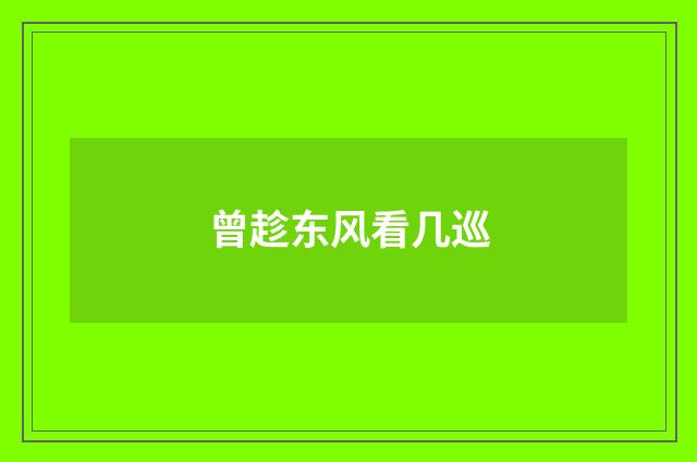 曾趁东风看几巡