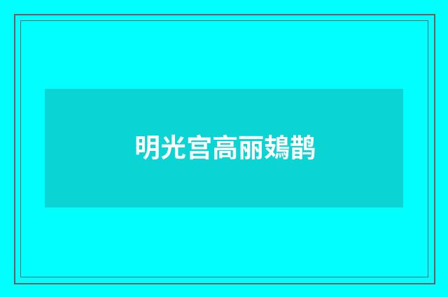 明光宫高丽鳷鹊