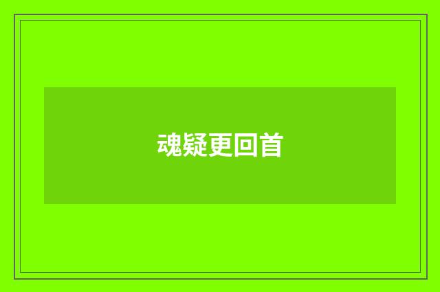 魂疑更回首