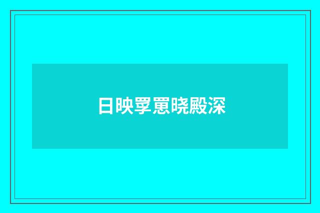 日映罦罳晓殿深