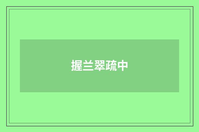 握兰翠疏中