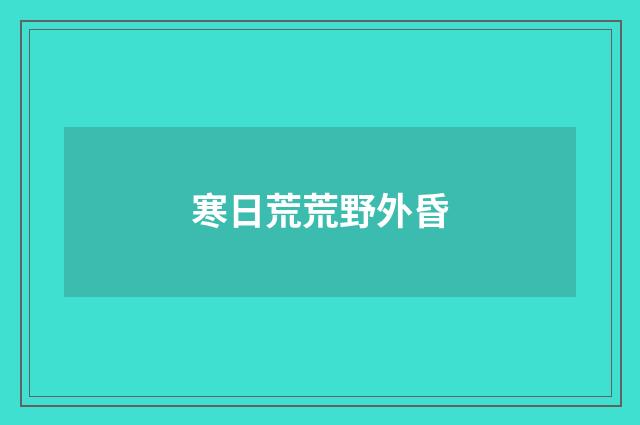 寒日荒荒野外昏