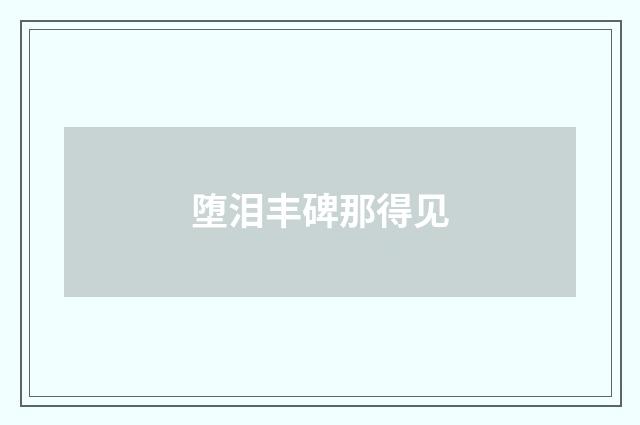 堕泪丰碑那得见