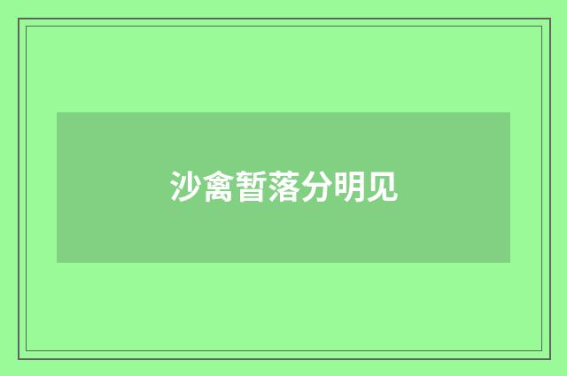 沙禽暂落分明见