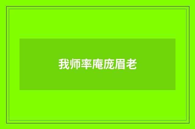 我师率庵庞眉老