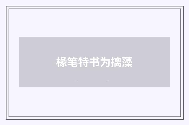 椽笔特书为摛藻