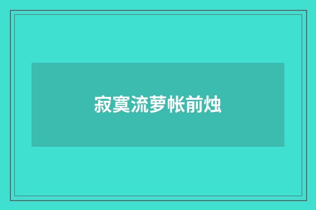 寂寞流萝帐前烛