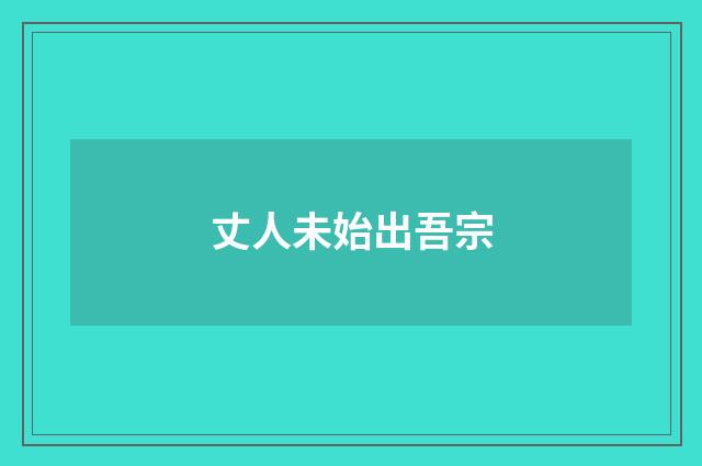 丈人未始出吾宗