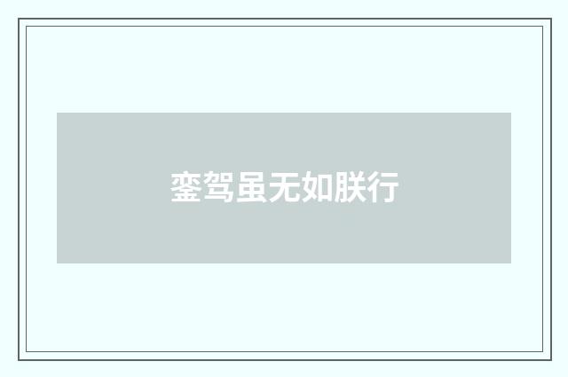 銮驾虽无如朕行