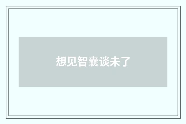想见智囊谈未了