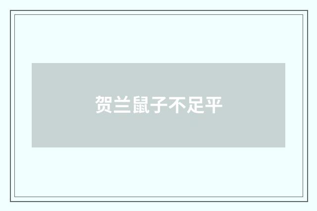 贺兰鼠子不足平