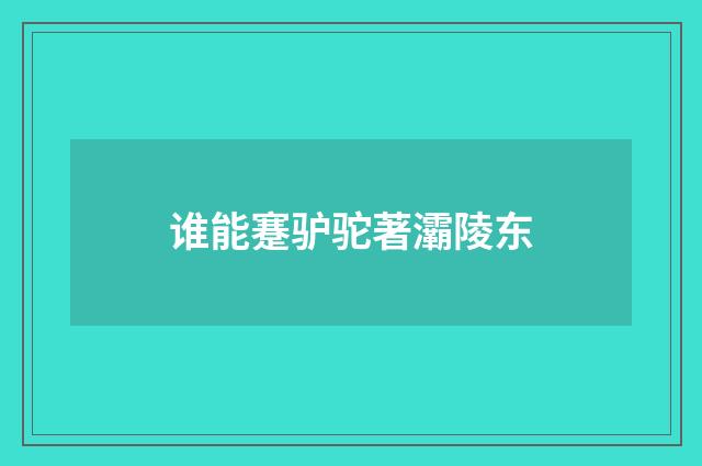 谁能蹇驴驼著灞陵东