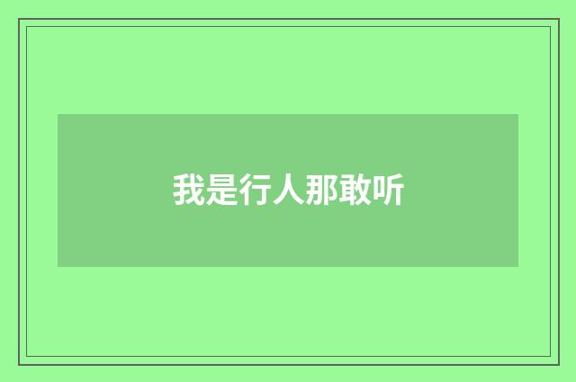 我是行人那敢听