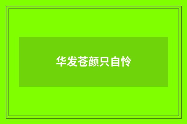华发苍颜只自怜