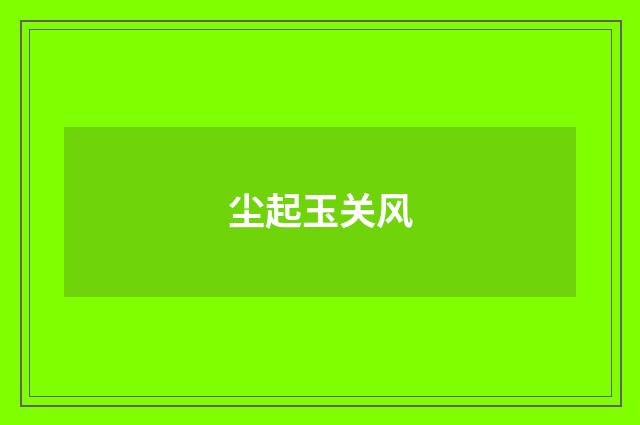 尘起玉关风