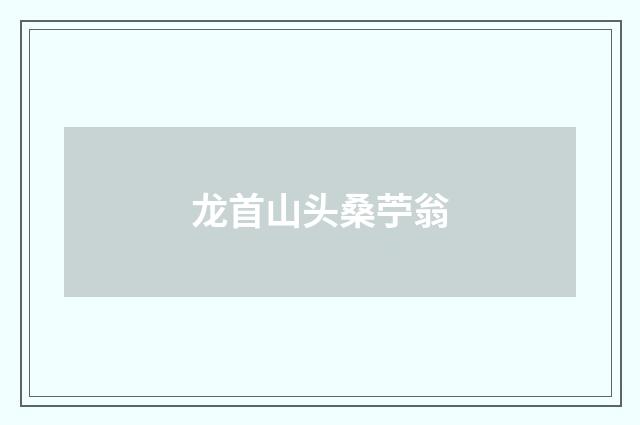 龙首山头桑苧翁