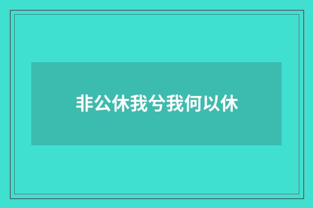 非公休我兮我何以休