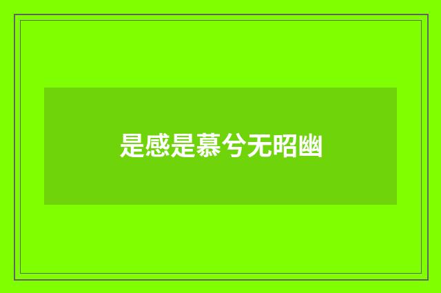 是感是慕兮无昭幽
