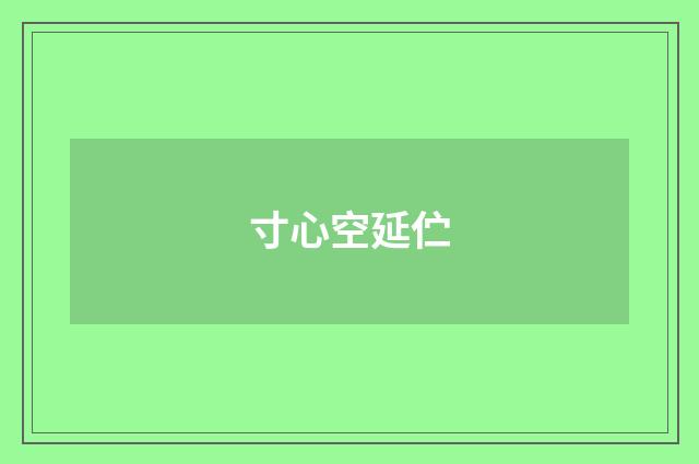寸心空延伫