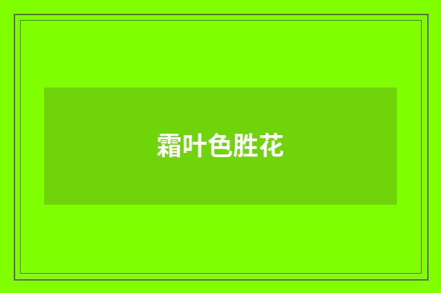 霜叶色胜花