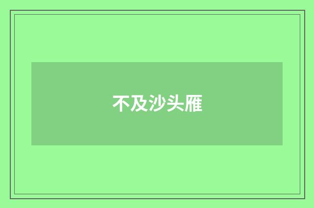 不及沙头雁