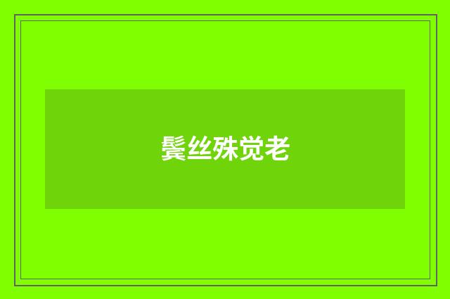 鬓丝殊觉老