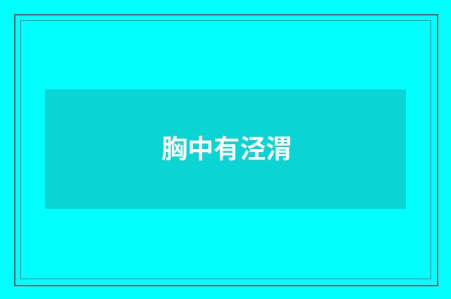 胸中有泾渭