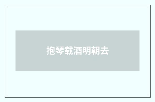 抱琴载酒明朝去