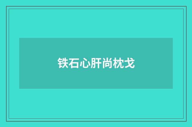 铁石心肝尚枕戈