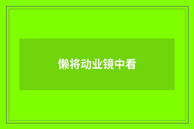 懒将动业镜中看