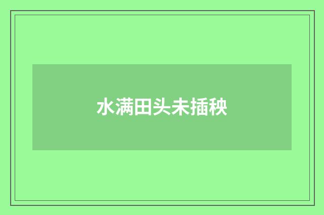 水满田头未插秧