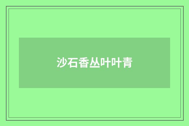 沙石香丛叶叶青