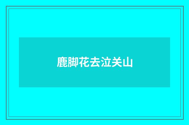 鹿脚花去泣关山
