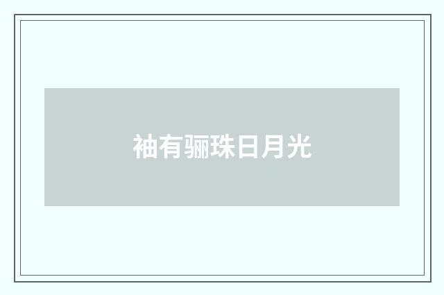 袖有骊珠日月光