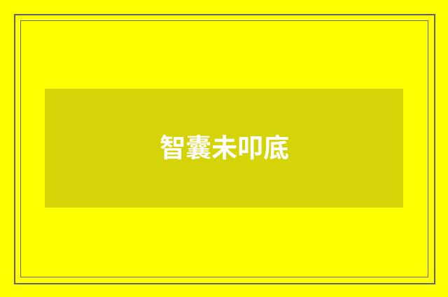 智囊未叩底